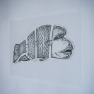 Graphic art Fish Napoleon