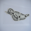 Graphic art Seal